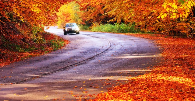 The Road Ahead: Preparing Your Vehicle For Shorter Days, Longer Nights 